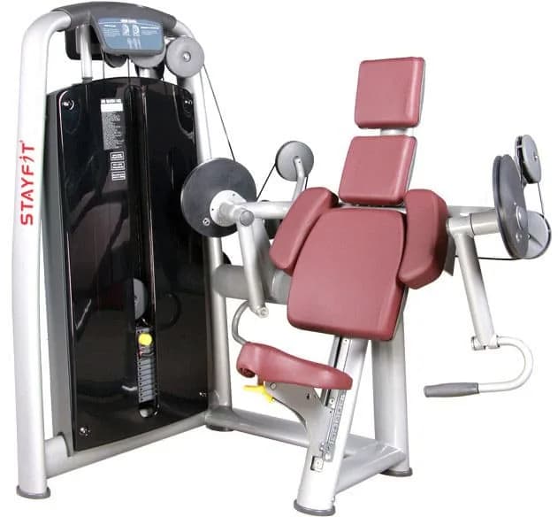 SF-6013 Biceps Curl